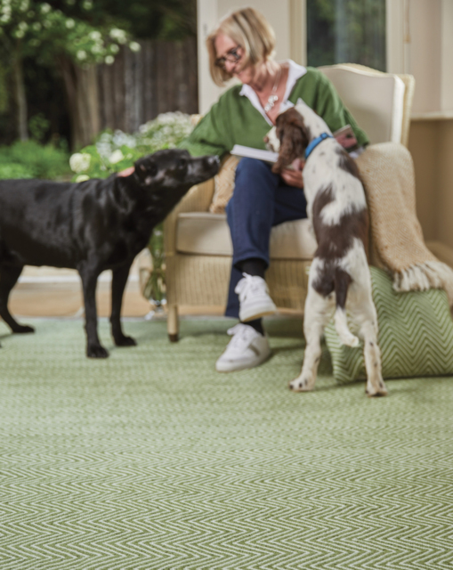 Woven Herringbone Indoor/Outdoor Rug Green - My Mat - Size: 80X150 - image 1