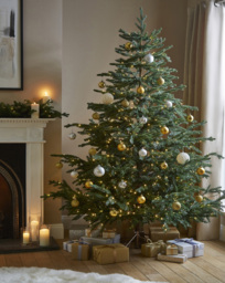 Helsinki Pre Lit Real Look Christmas Tre - FESTIVE - Size: 8FT - thumbnail 1