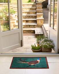 My Mat Nylon Indoor Pheasant Doormat Multi - My Mat - Size: 50X75 - thumbnail 1