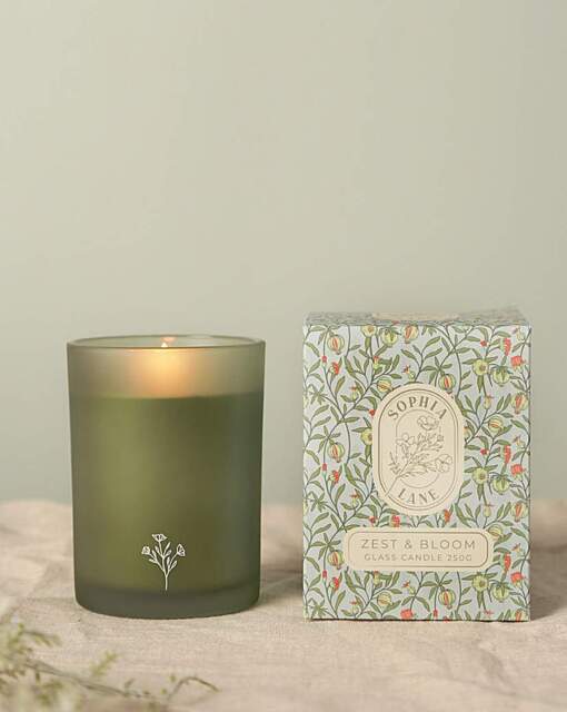 Sophia Lane Zest & Bloom Candle Green - Sophia Lane - image 1
