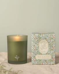 Sophia Lane Zest & Bloom Candle Green - Sophia Lane - thumbnail 1