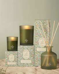 Sophia Lane Zest & Bloom Candle Green - Sophia Lane - thumbnail 5