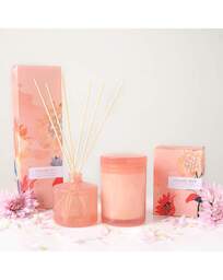 The London Wax Company Summer Diffuser Pink - The London Wax Company - thumbnail 2