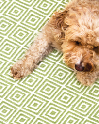 Woven Diamond Indoor/Outdoor Rug Green - My Mat - Size: 80X150 - thumbnail 1