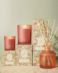 Sophia Lane Velvet Rose Diffuser Pink - Sophia Lane - thumbnail 2