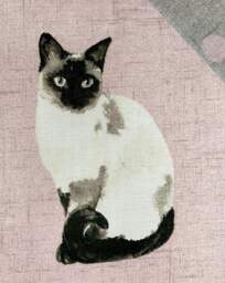 Fusion Cats Duvet Cover Set Blush - Fusion - Size: SINGLE - thumbnail 2