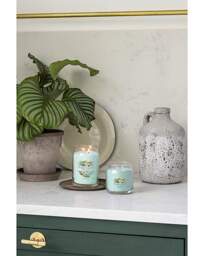 Yankee Candle Large Aloe & Agave - Yankee Candle - thumbnail 4
