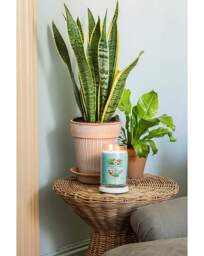 Yankee Candle Large Aloe & Agave - Yankee Candle - thumbnail 2