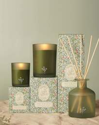 Sophia Lane Zest & Bloom Diffuser Green - Sophia Lane - thumbnail 5
