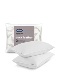 Silentnight Naturals 2 Pack Pillow White - Silentnight - thumbnail 1