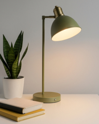 Rechargable Swing Arm Desk Lamp Green - Searchlight
