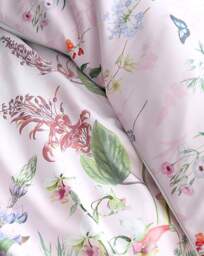 RHS x Catherine Lansfield Duvet Set Pink - RHS - Size: SINGLE - thumbnail 2