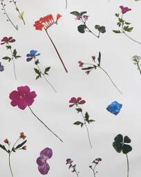 Nia Pressed Floral Duvet Cover Set Multi - JD Williams - Size: S KING - thumbnail 3