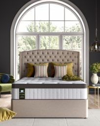 Sealy Arden Elevate Ultra Mattress - Sealy - Size: DOUBLE