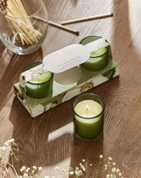 White Poppy & Sage Set of 3 Votives Green - Candlelight - thumbnail 1