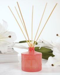 The London Wax Company Paradise Diffuser Pink - The London Wax Company