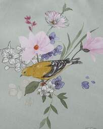 Catherine Lansfield Songbird Sage - Catherine Lansfield - Size: SINGLE - thumbnail 4