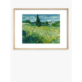 John Lewis Vincent Van Gogh 'Green Wheat-field with Cypress' Framed Print, 40 x 50cm
