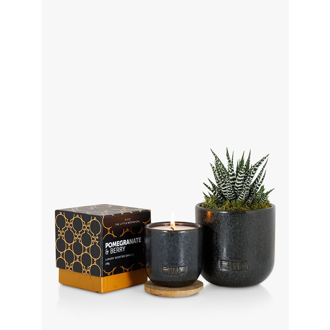 The Little Botanical Back to Black Candle Gift Set - image 1