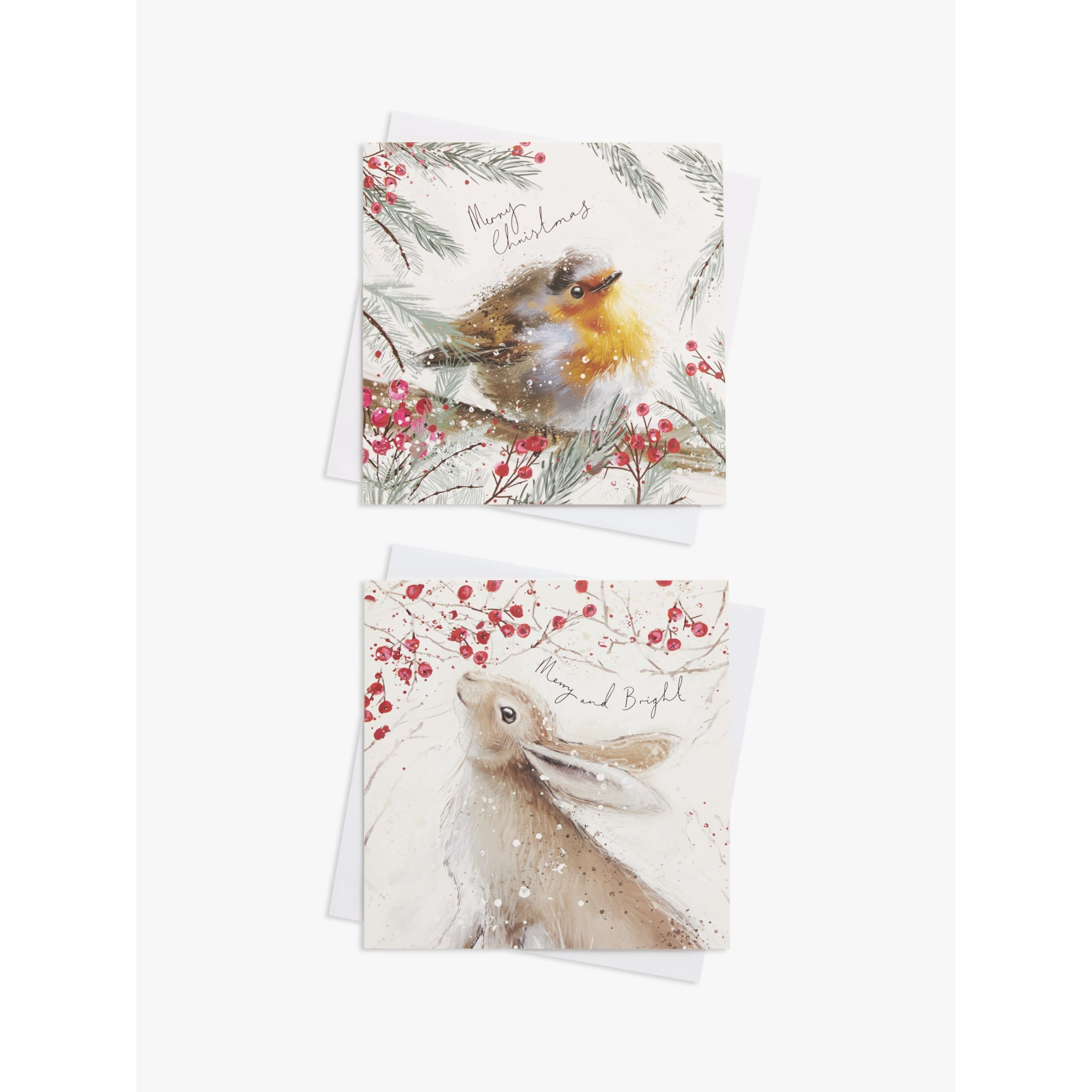 John Lewis Robin & Hare Large Charity Christmas Cards, Box of 8