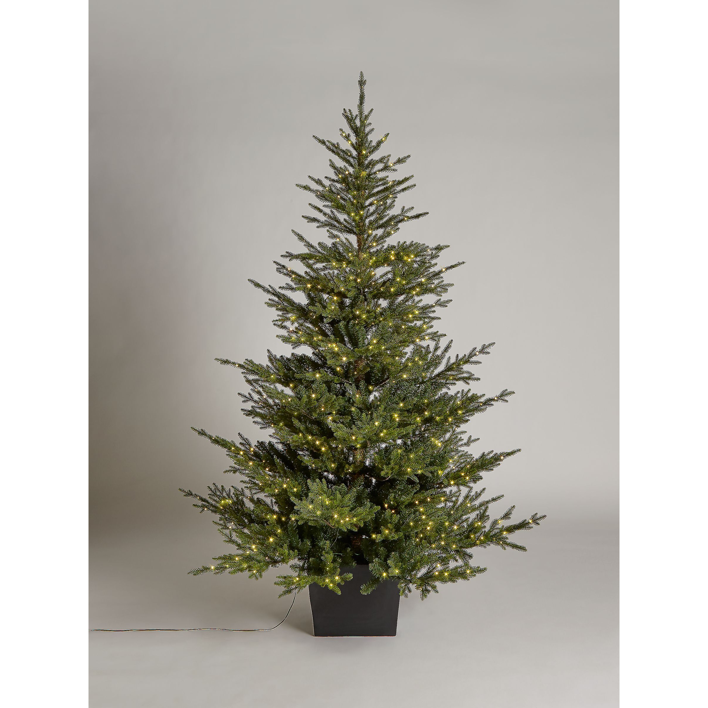 John Lewis Cotswold Potted Pre-lit Christmas Tree, 7ft
