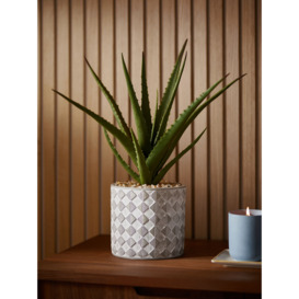 John Lewis Artificial Large Aloe Plant & Concrete Pot - thumbnail 2