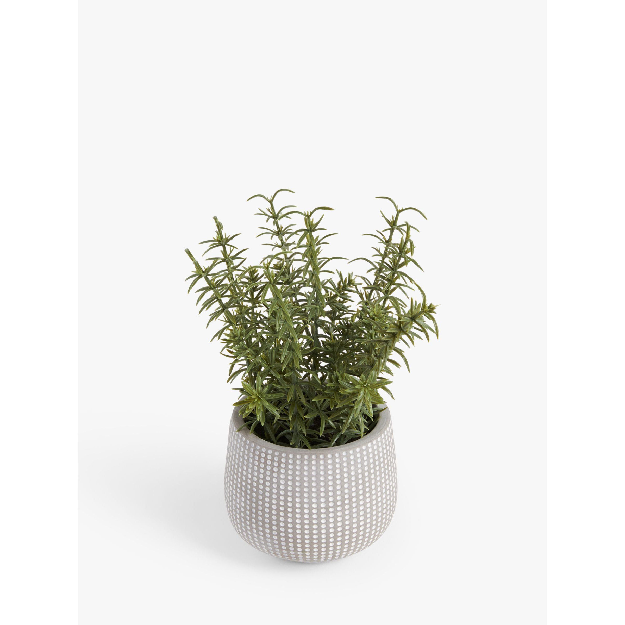 John Lewis Artificial Rosemary Plant & Concrete Pot - image 1