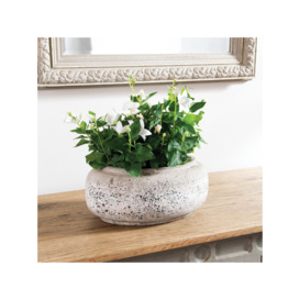 One.World Birkdale Terracotta Oval Planter, 35cm, Natural Stone