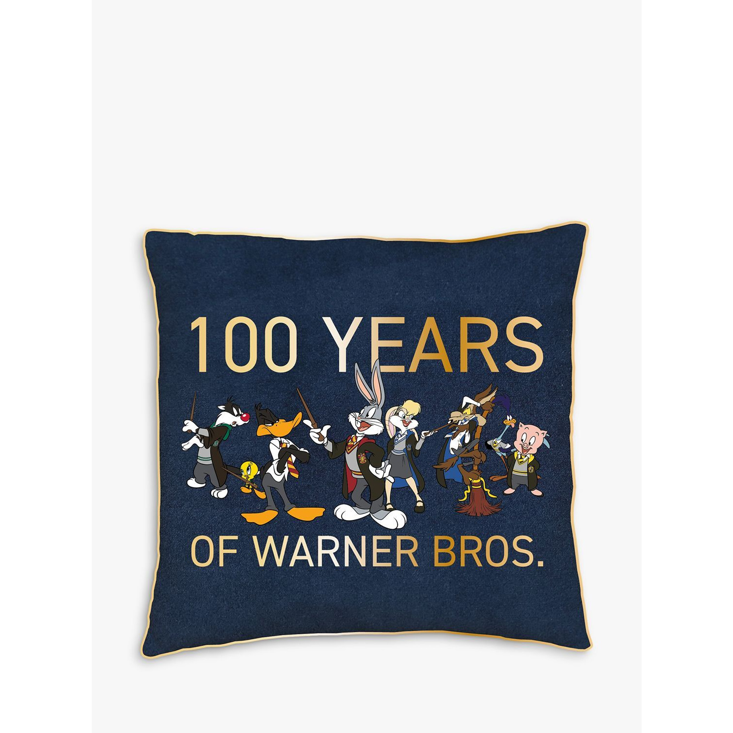 Harry Potter Warner Bros Mash Up Limited Edition 100th Anniversary Square Cushion - image 1