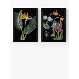 EAST END PRINTS Natural History Museum 'Dark Floral' Framed Print, Set of 2