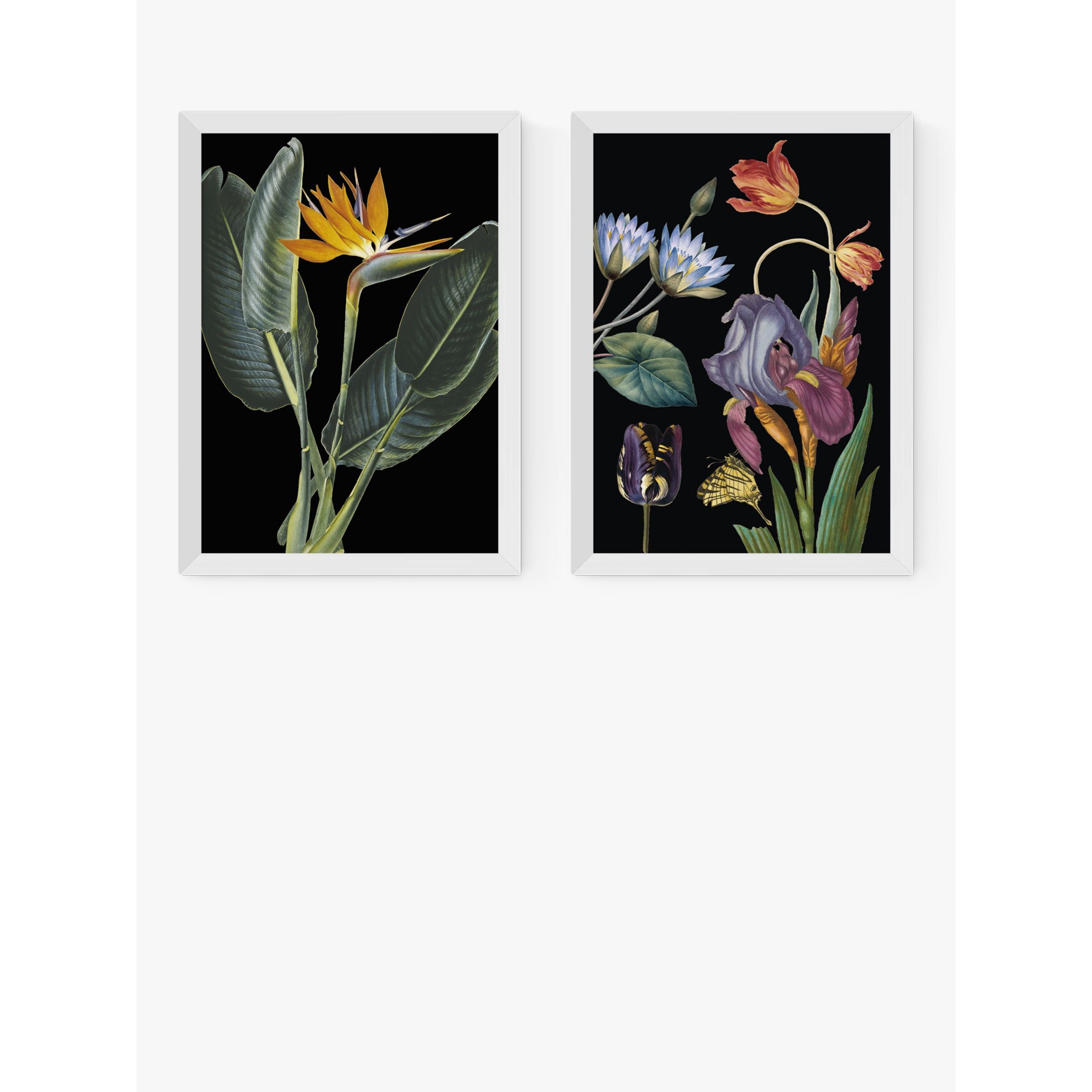 EAST END PRINTS Natural History Museum 'Dark Floral' Framed Print, Set of 2 - image 1