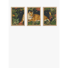 EAST END PRINTS Natural History Museum 'Tiger' Framed Print, Set of 3 - thumbnail 1