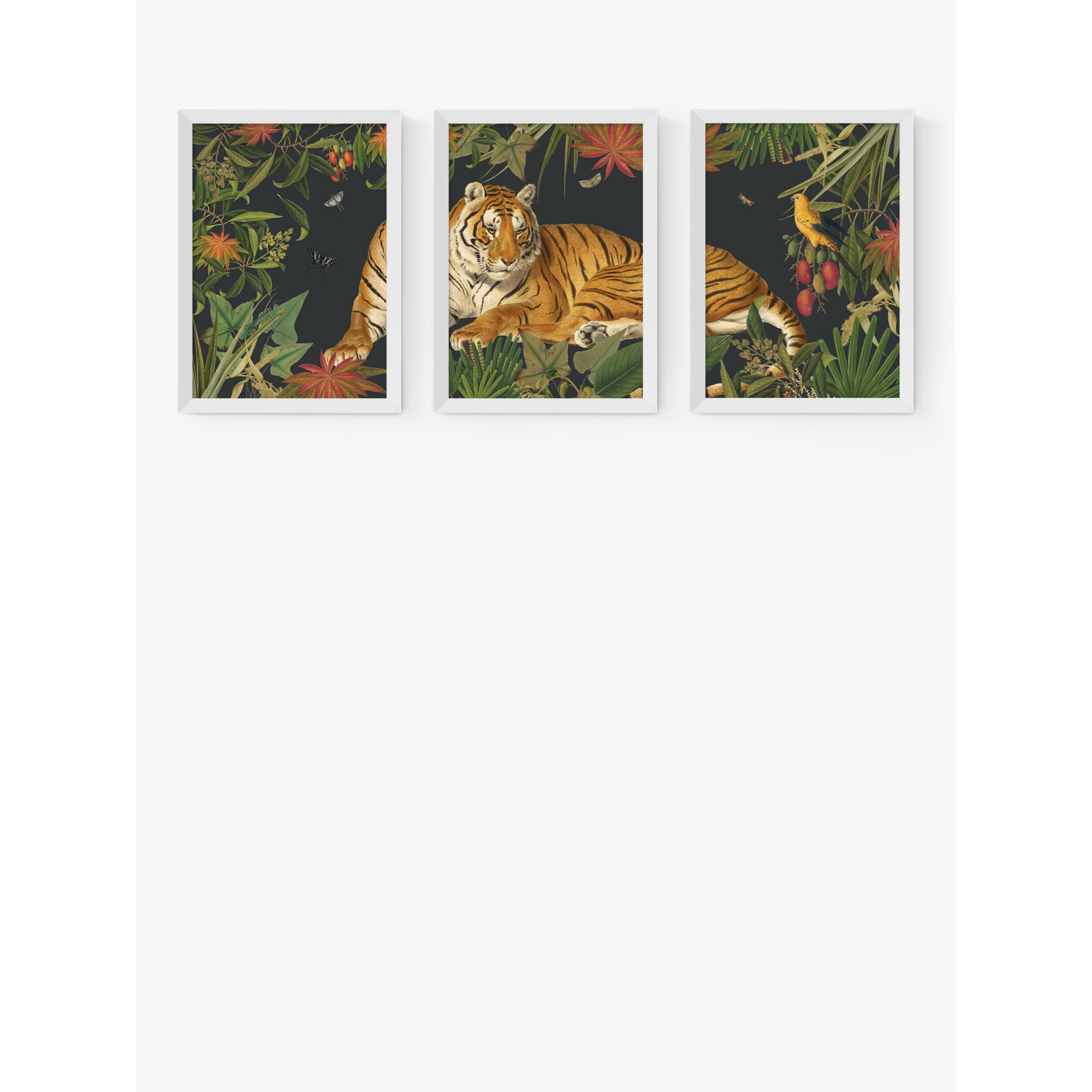 EAST END PRINTS Natural History Museum 'Tiger' Framed Print, Set of 3 - image 1