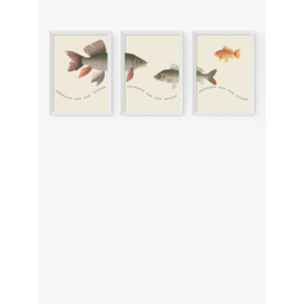 EAST END PRINTS Natural History Museum 'Fish' Framed Print, Set of 3
