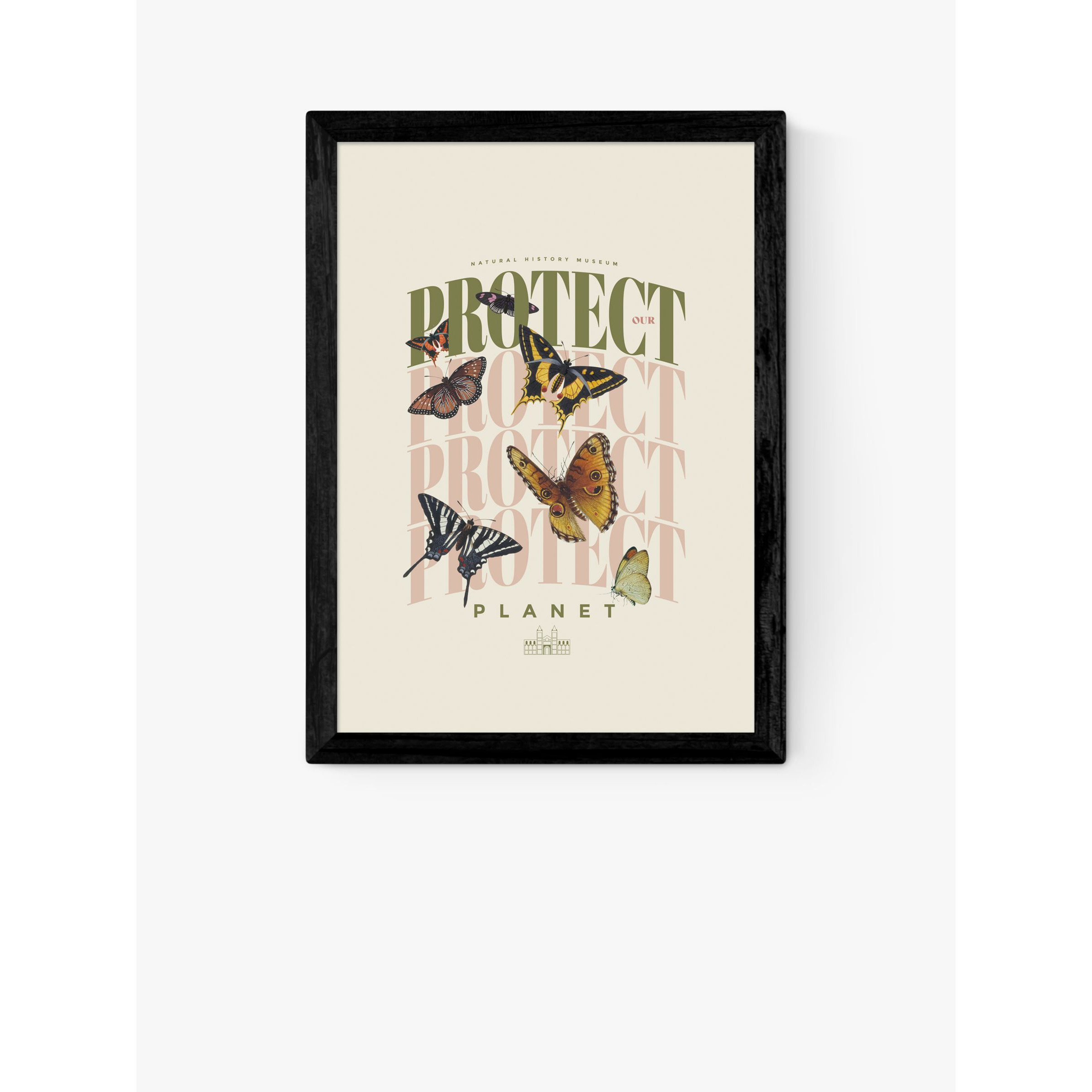 EAST END PRINTS Natural History Museum 'Butterflies' Framed Print - image 1