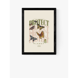 EAST END PRINTS Natural History Museum 'Butterflies' Framed Print