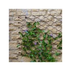 Ivyline Honeycomb Garden Wall Trellis, 84 x 62cm - thumbnail 2