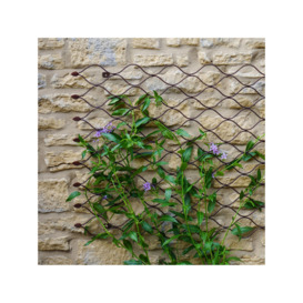 Ivyline Honeycomb Garden Wall Trellis, 100 x 78cm - thumbnail 2