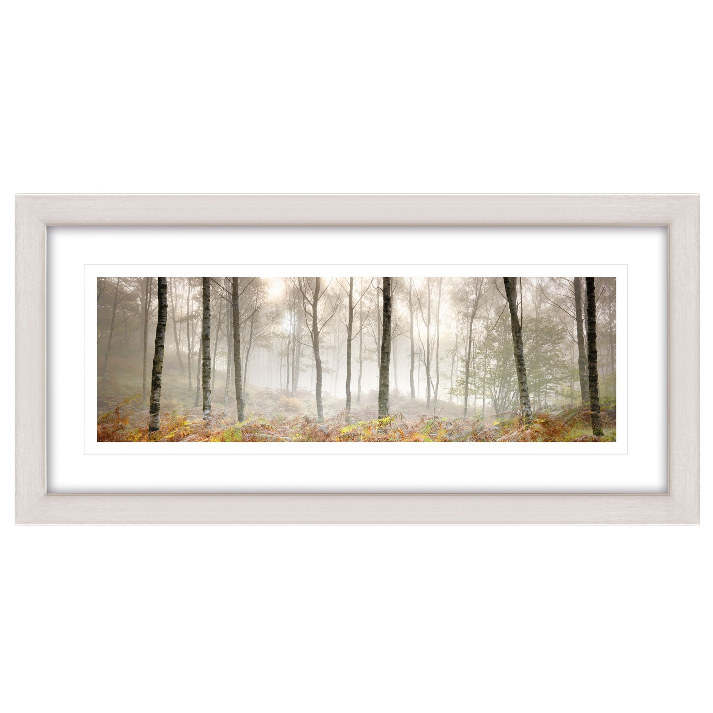 John Lewis Mike Shepherd 'Morning Woodland' Framed Print, 52 x 107cm