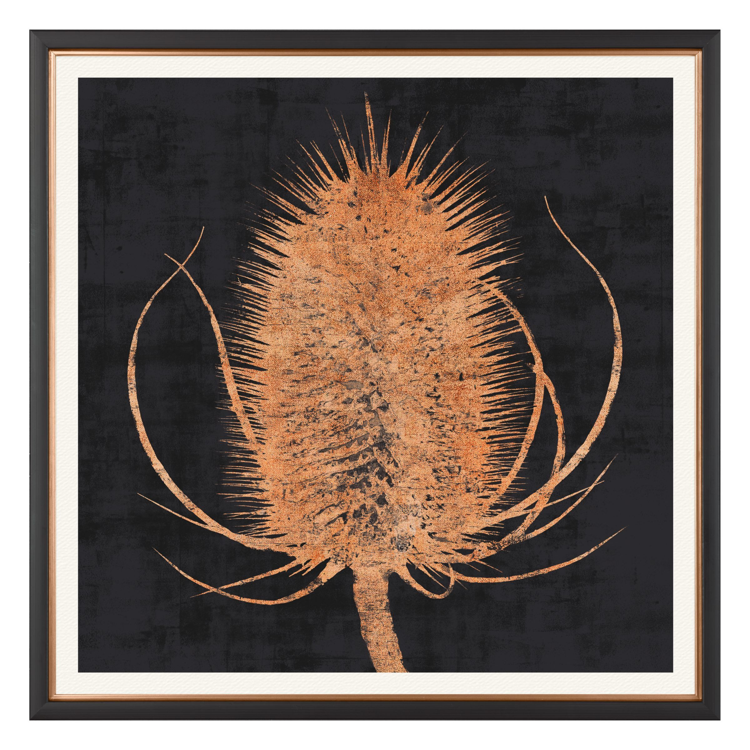 Charlotte Oakley - Copper Teasel Framed Print & Mount, 36 x 36cm, Dark Grey/Metallic