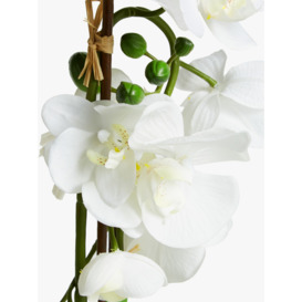 John Lewis Artificial Large White Orchid - thumbnail 2