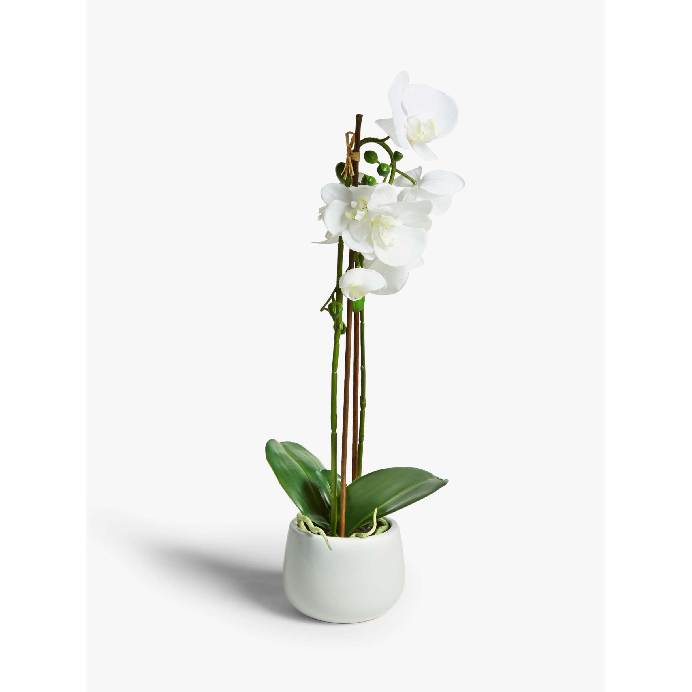 John Lewis Artificial Large White Orchid - image 1