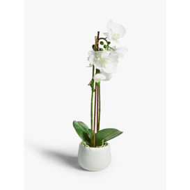 John Lewis Artificial Large White Orchid - thumbnail 1