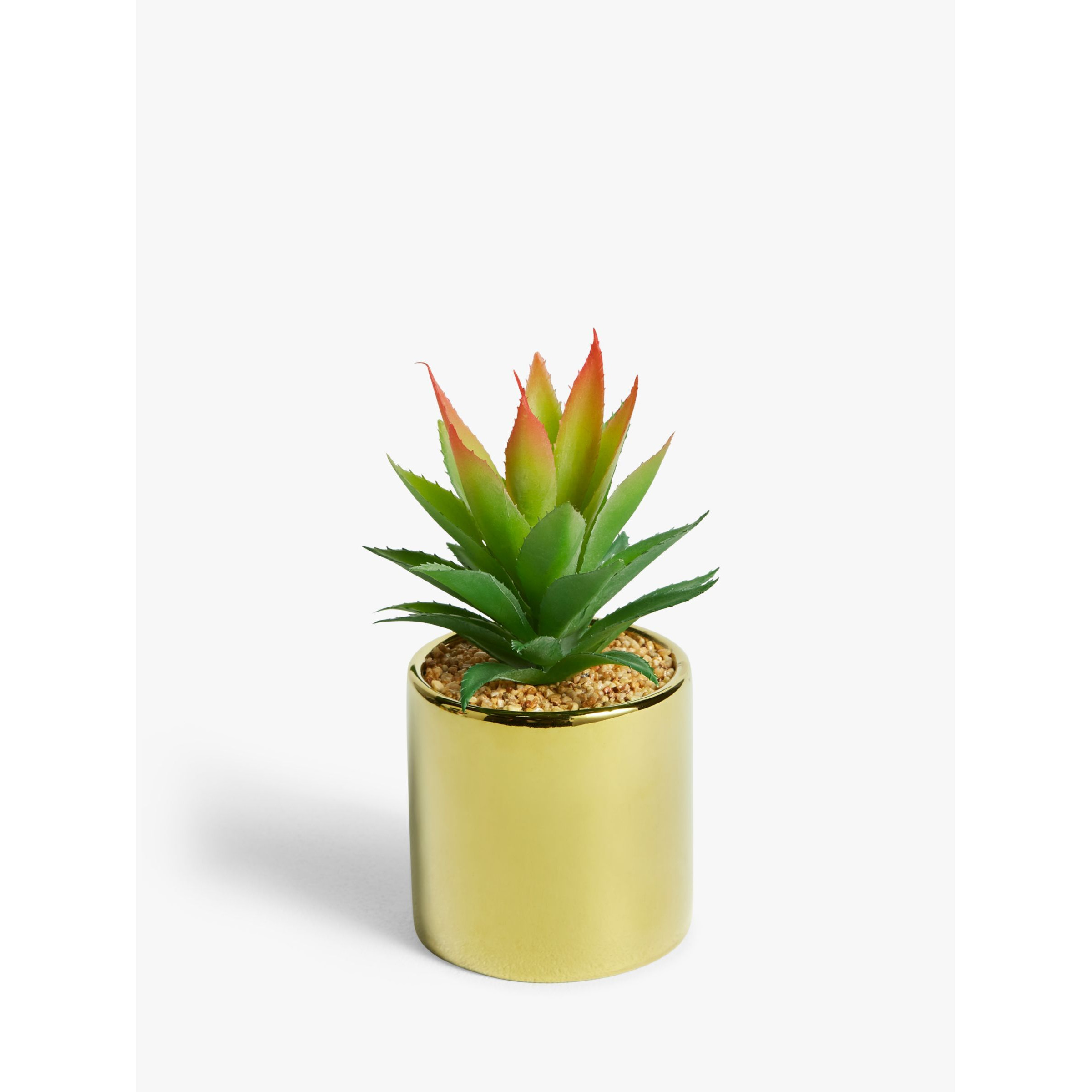 John Lewis Artificial Tall Spiky Succulent - image 1