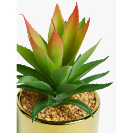John Lewis Artificial Tall Spiky Succulent - thumbnail 2
