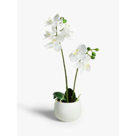 John Lewis Artificial Small White Orchid in Ceramic Pot - thumbnail 1