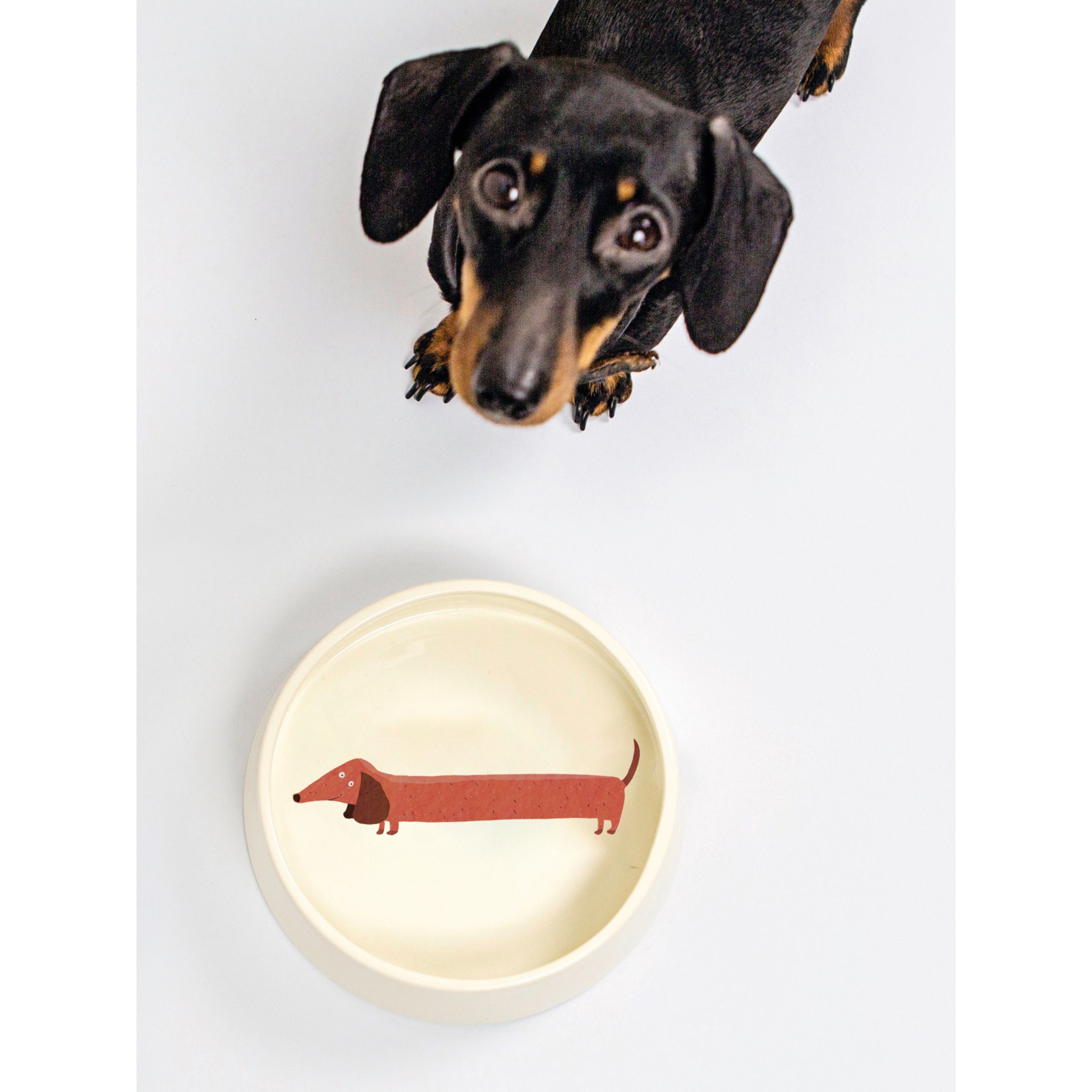Fenella Smith Dachshund Dog Food Bowl by John Lewis Partners