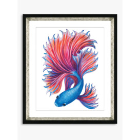Fancy Fish 2 - Framed Print & Mount, 56 x 46cm, Red/Blue
