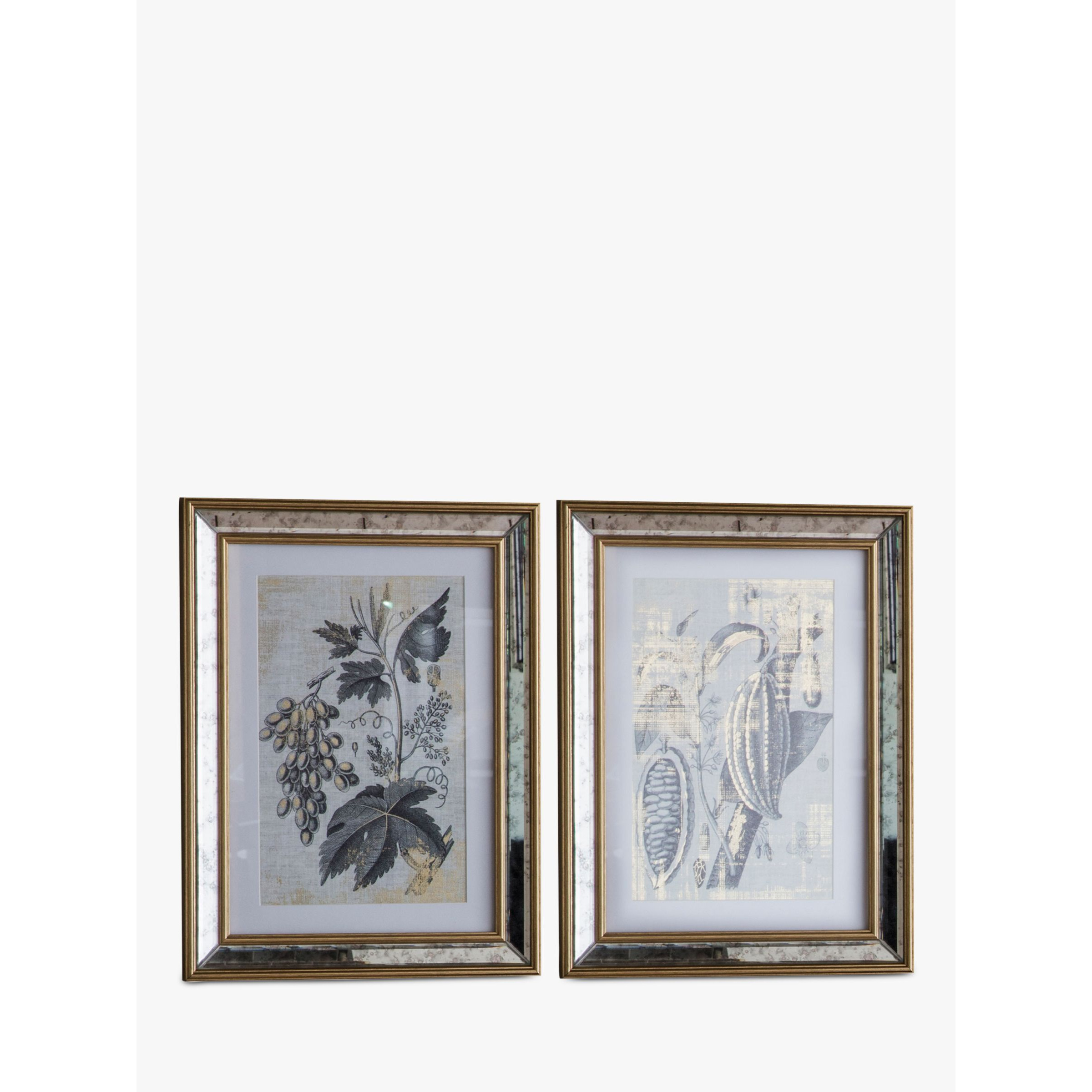Braun Botanicals - Framed Print & Mount, Set of 2, 40 x 30cm, Gold