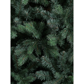 John Lewis Brunswick Blue Spruce Unlit Christmas Tree, 6ft - thumbnail 2